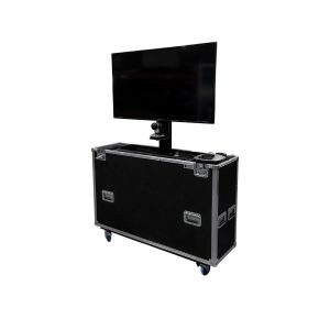 TV Screen Case